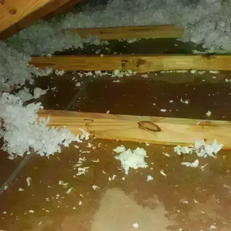 Attic Water Damage in Cut Bank, MT